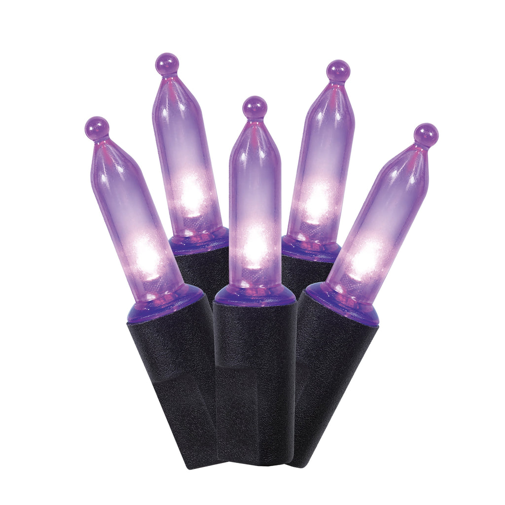 Indoor/Outdoor 200-Count LED Mini String Lights, Multicolor, 39', Halloween by Way To Celebrate