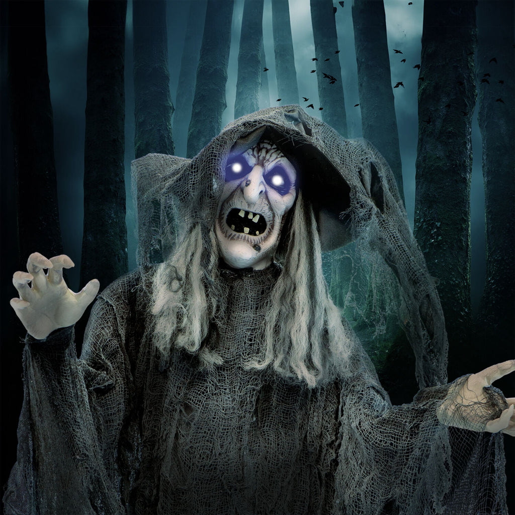 Haunted Hill Farm 5.75 ft Animatronic Witch Indoor/Covered Outdoor Halloween Decoration, HHWITCH-20FLSA