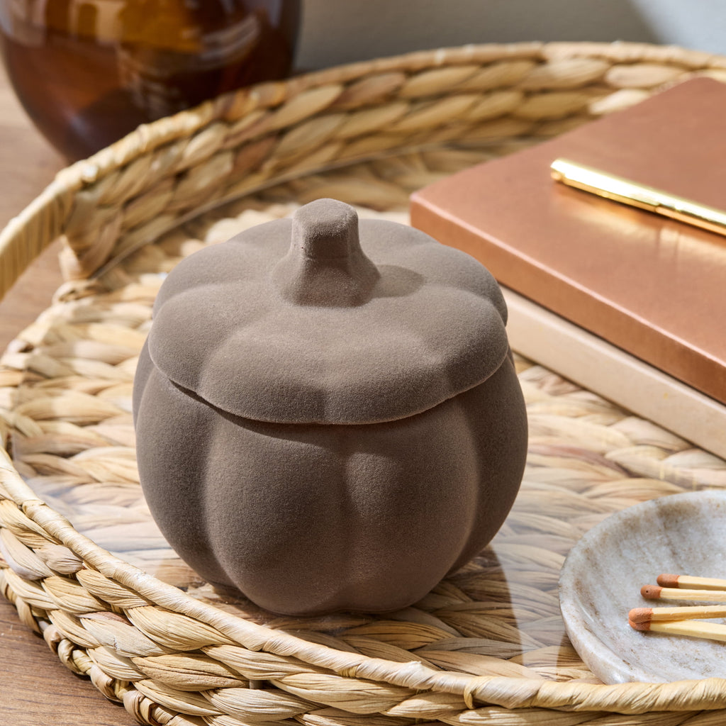 Better Homes & Gardens Flocked Pumpkin Jar Candle, Pumpkin Snickerdoodle Swirl, 2-Wick, 12.7 oz