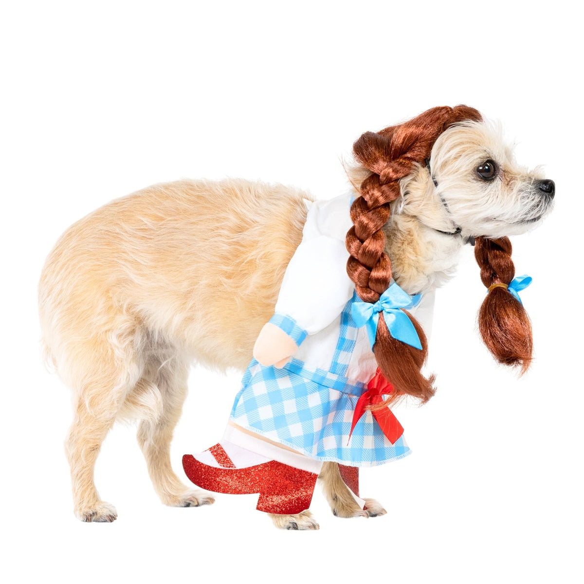 Vibrant Life Halloween Gingham Girl Costume for Dogs and Cats, Small