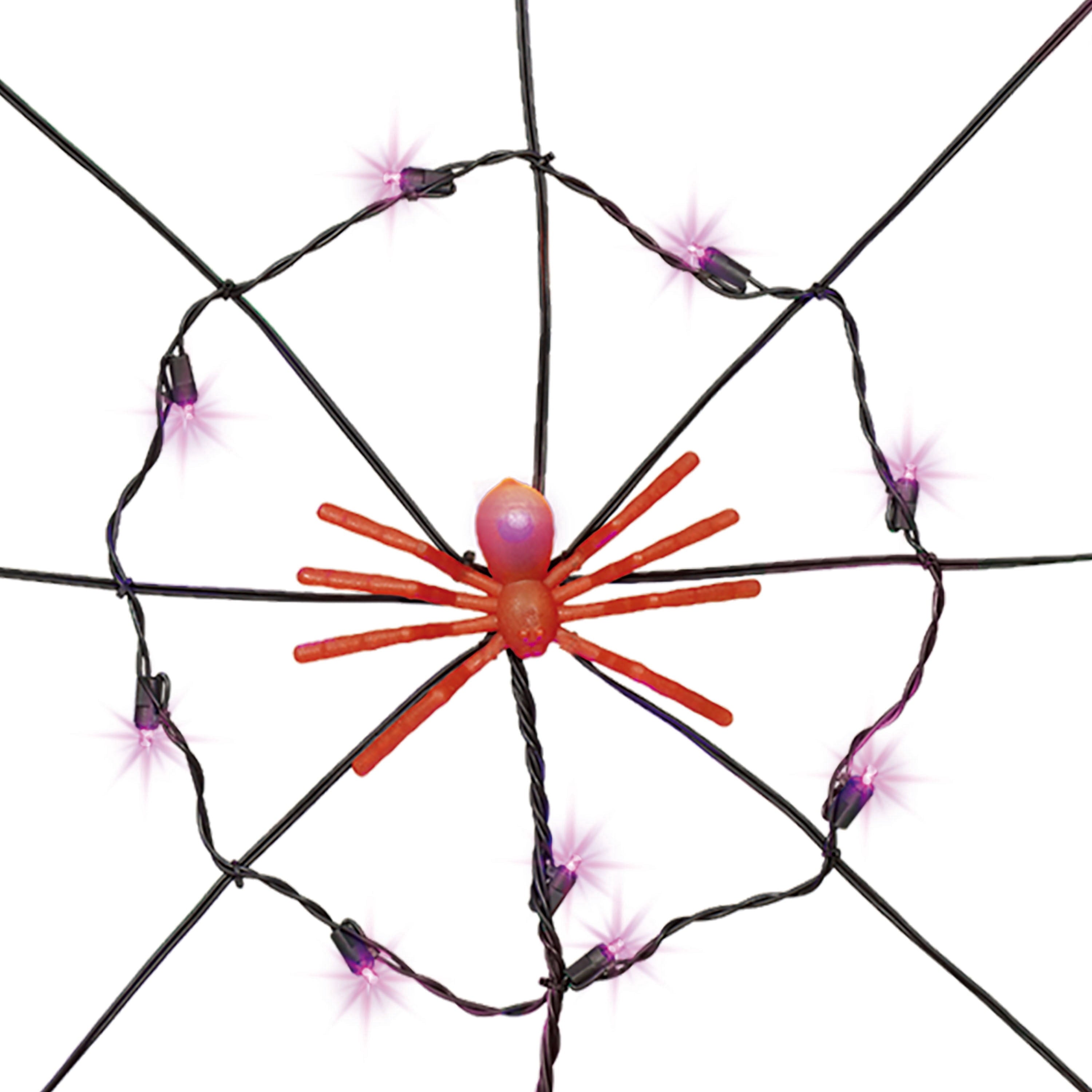 Indoor/Outdoor 50-Count LED Spider Web Lights, Multicolor, 5', Halloween by Way To Celebrate