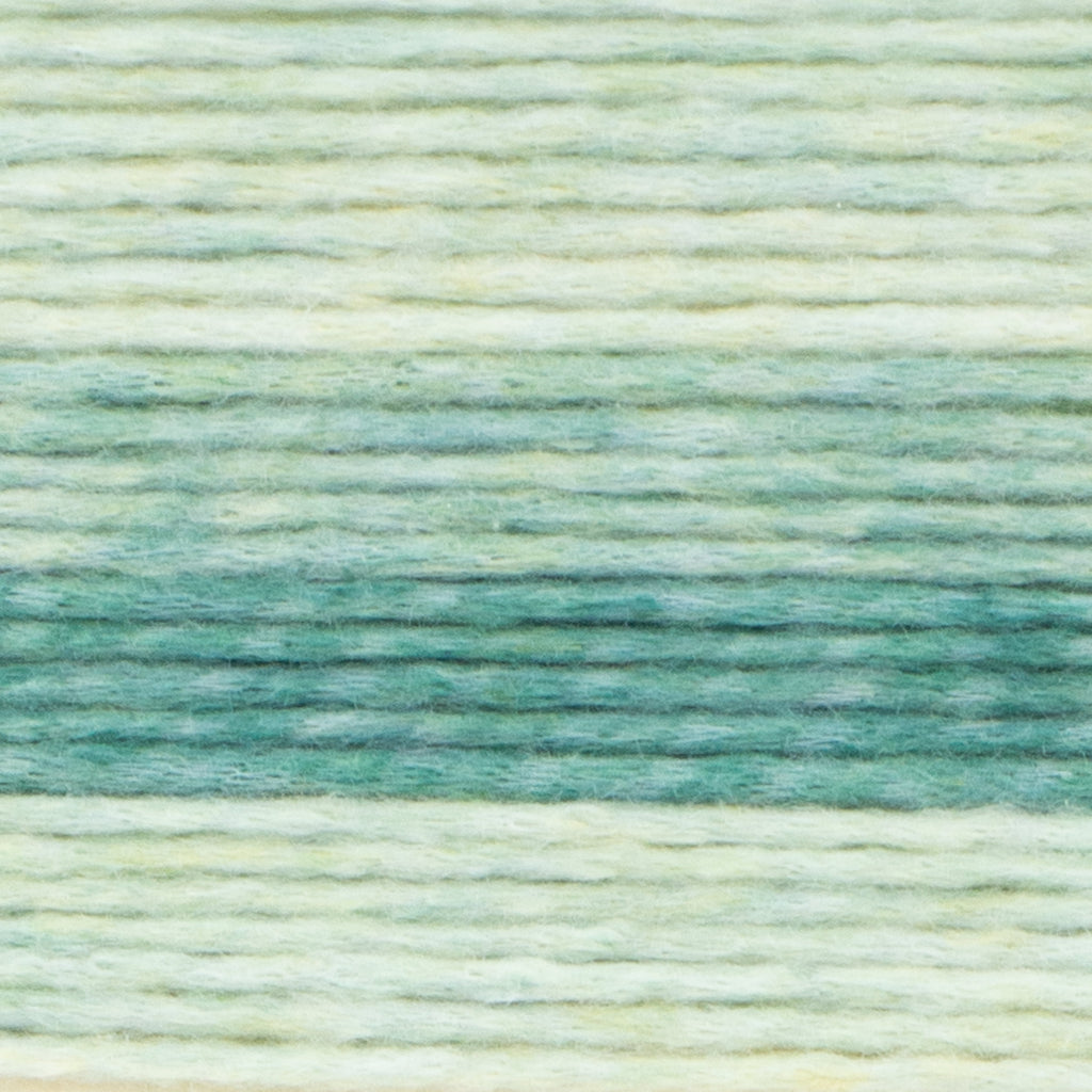 Lion Brand Landscapes Renewed Fiesta 542-213T Soft Recycled Yarn