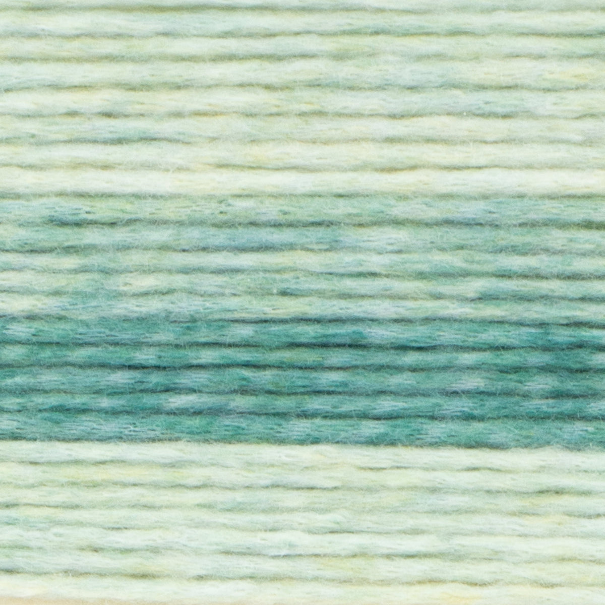 Lion Brand Landscapes Renewed Fiesta 542-213T Soft Recycled Yarn
