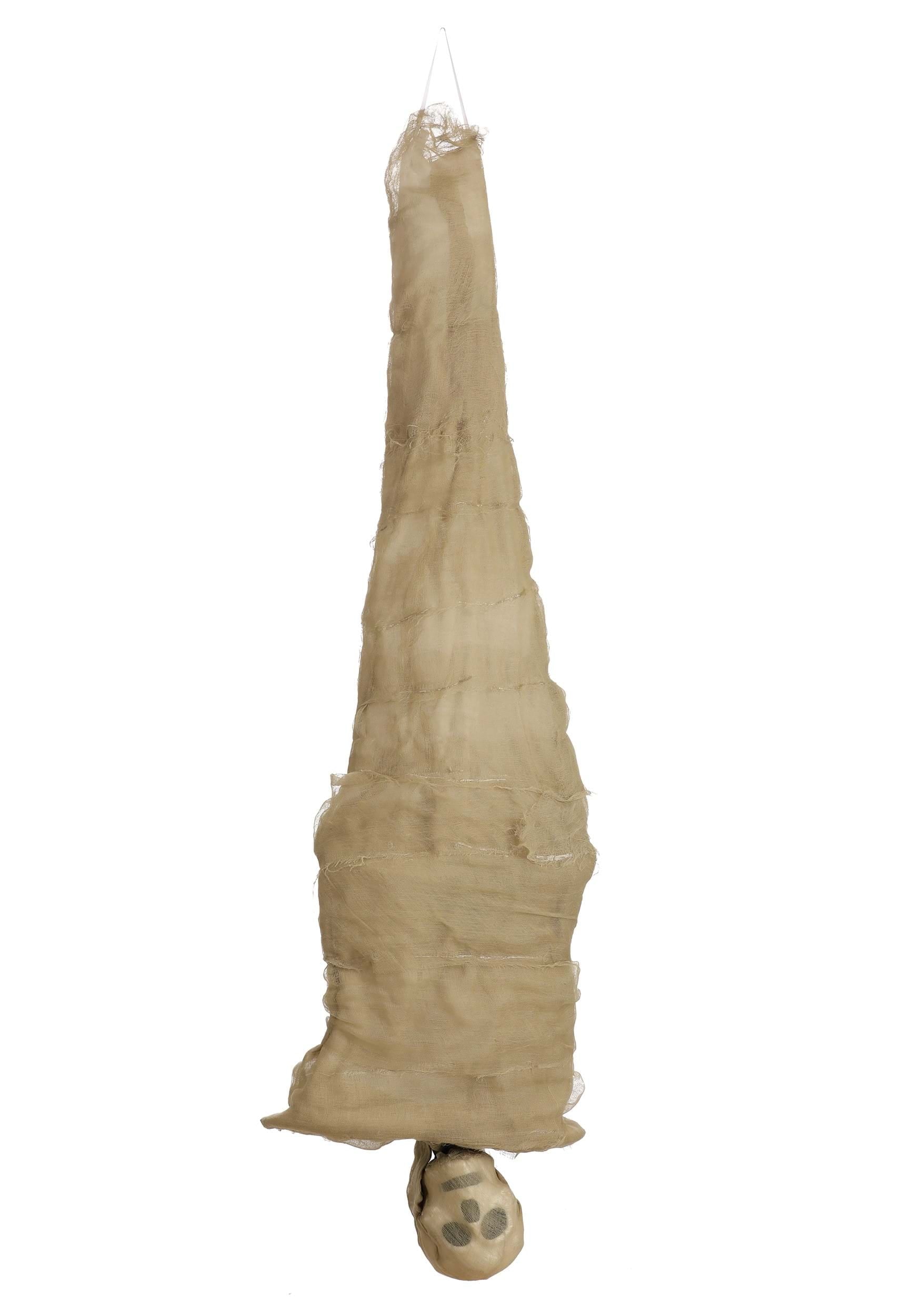 Animated Mummy Decoration