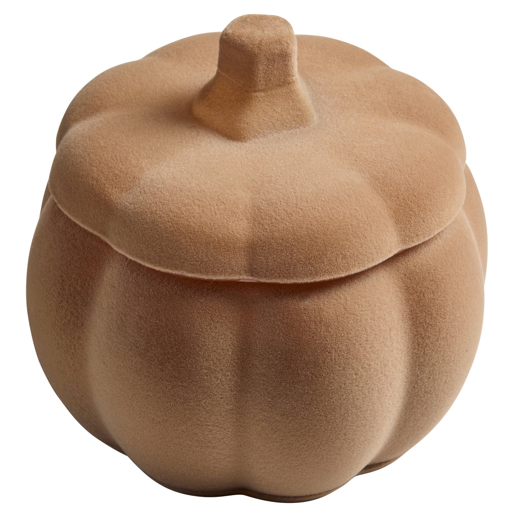 Better Homes & Gardens Flocked Pumpkin Jar Candle, Pumpkin Snickerdoodle Swirl, 2-Wick, 12.7 oz