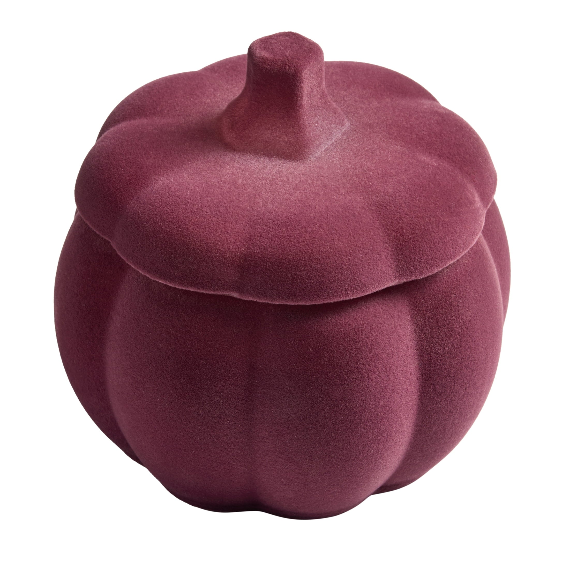 Better Homes & Gardens Flocked Pumpkin Jar Candle, Pumpkin Snickerdoodle Swirl, 2-Wick, 12.7 oz