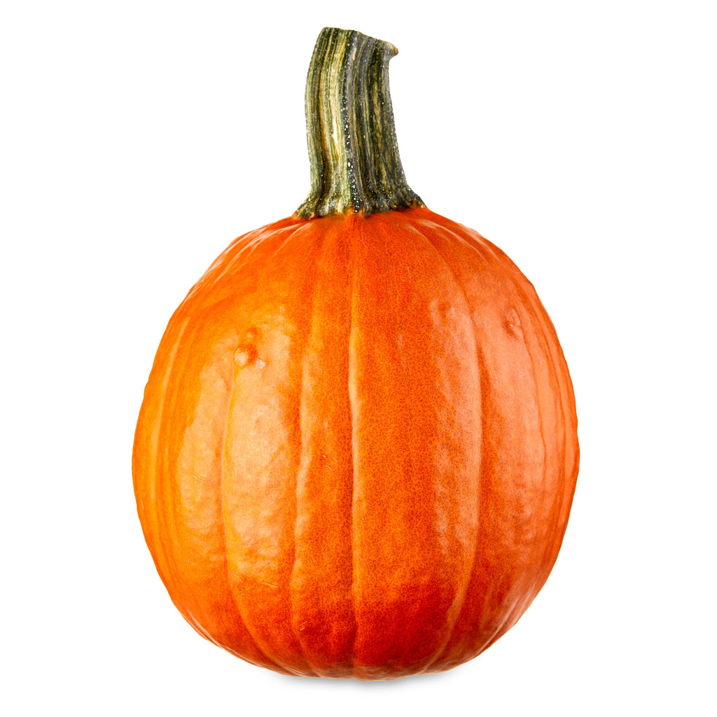 Fresh Pie Pumpkin, Each
