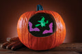 Witch Pumpkin Light Projector Decoration