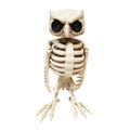 Halloween Express 14" Animated Owl Skeleton Halloween Decoration
