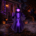 Halloween Lit Animated Witches, Halloween Purple Witch Decorations with 30 LED Lights, Cloth Hanging Decor for Porch Entryway Yard Party