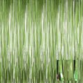 Light Green Metallic Tinsel Foil Fringe Curtains, 4 Pack 3.3x6.6 Feet Party Streamer for Birthday Bachelorette Party Decorations