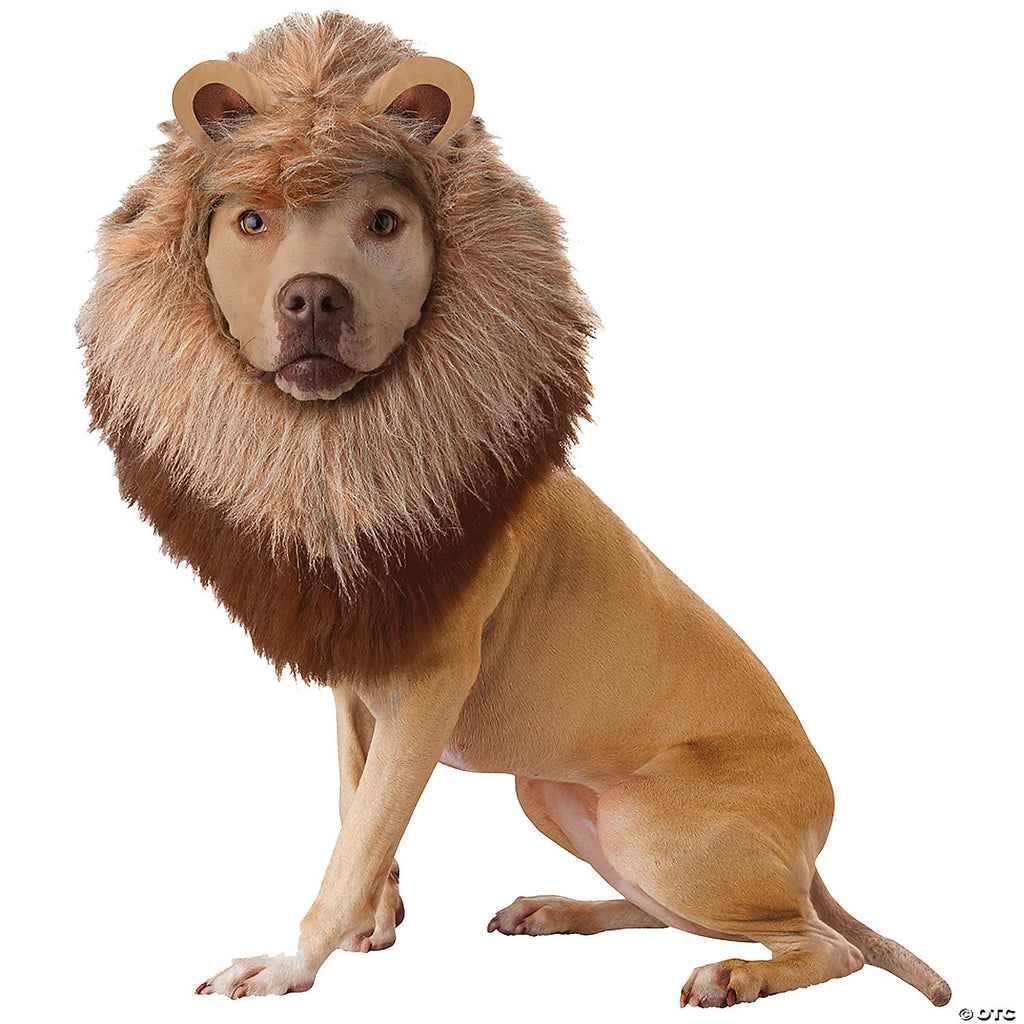 Lion Dog Costume, Pet Zoo Animal Outfit