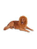 Rubies Deluxe Lion's Mane Pet Hood Costume Accessory for Dogs or Cats, One Size