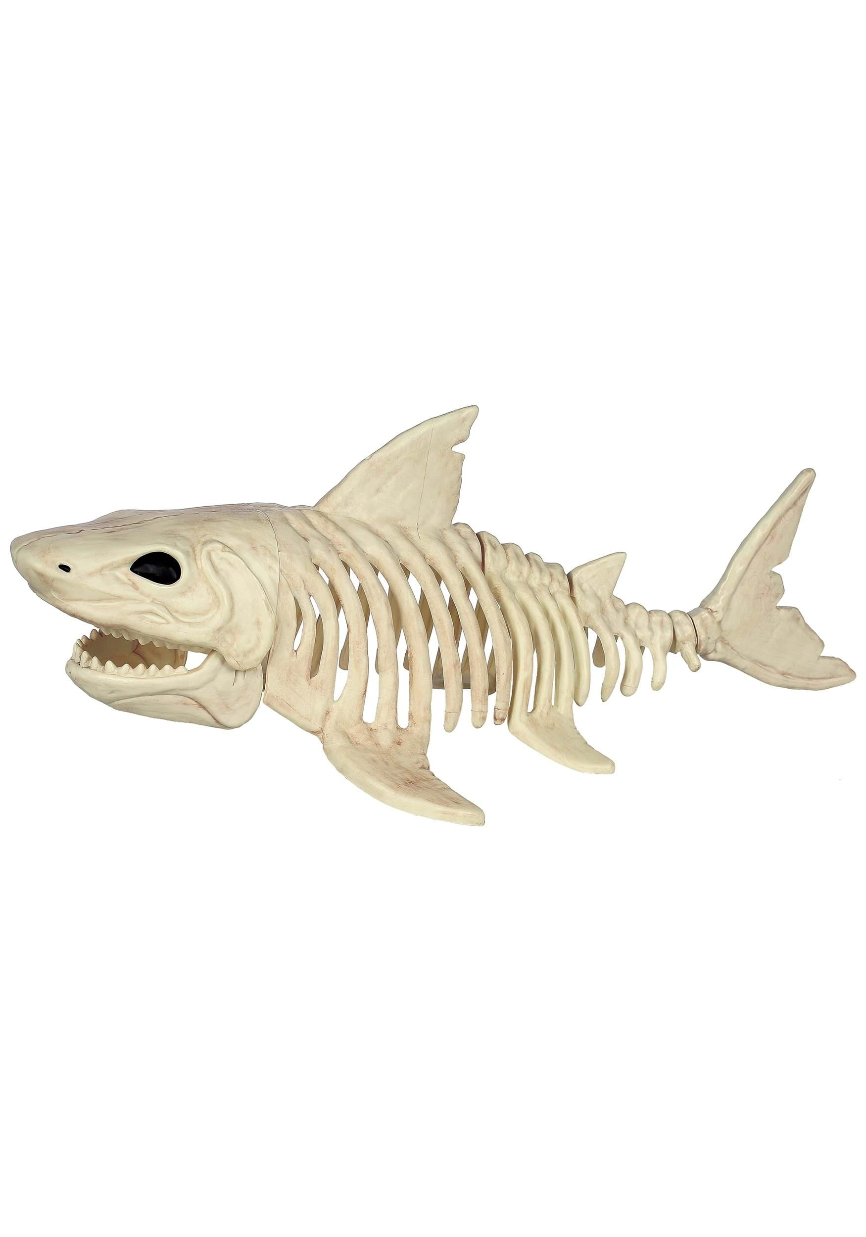Seasons 2 ft Plastic Shark Skeleton Halloween Tabletop Decoration - Off-White