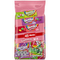 Skittles Gummies Fun Size Halloween Candy Variety pack Gummies Mix - 16.15 oz Bulk Bag