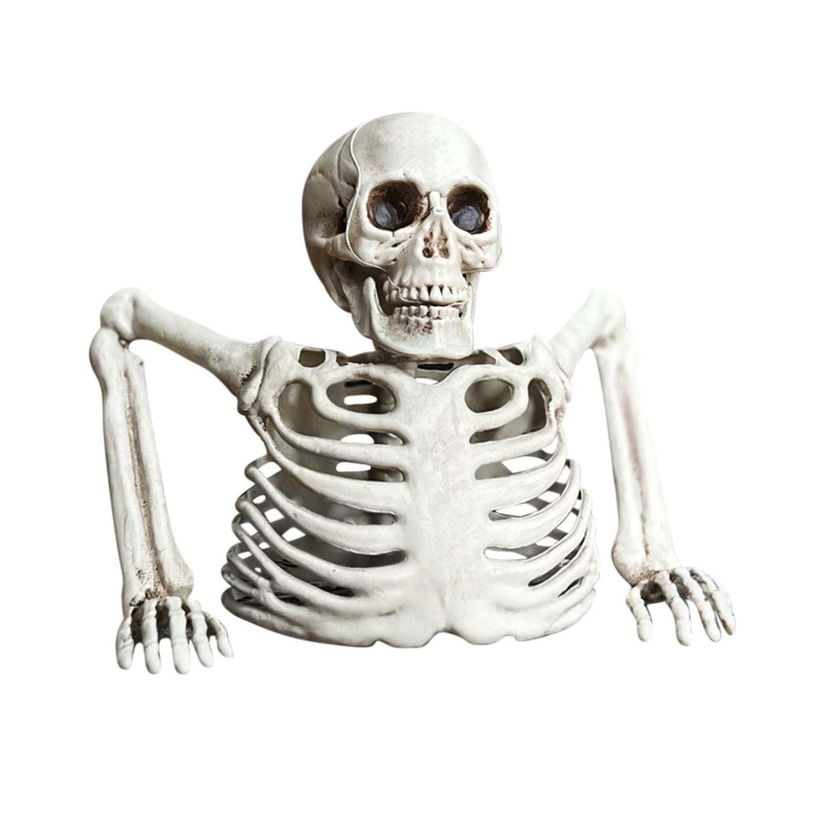 Halloween Skeleton Snake Prop Realistic Scary Serpent Decorative Ornament, Spooky Scene Setup Skeleton Decor Haunted House Party Prop, Home Shop Display Halloween Skeleton Holiday Ornament Gift