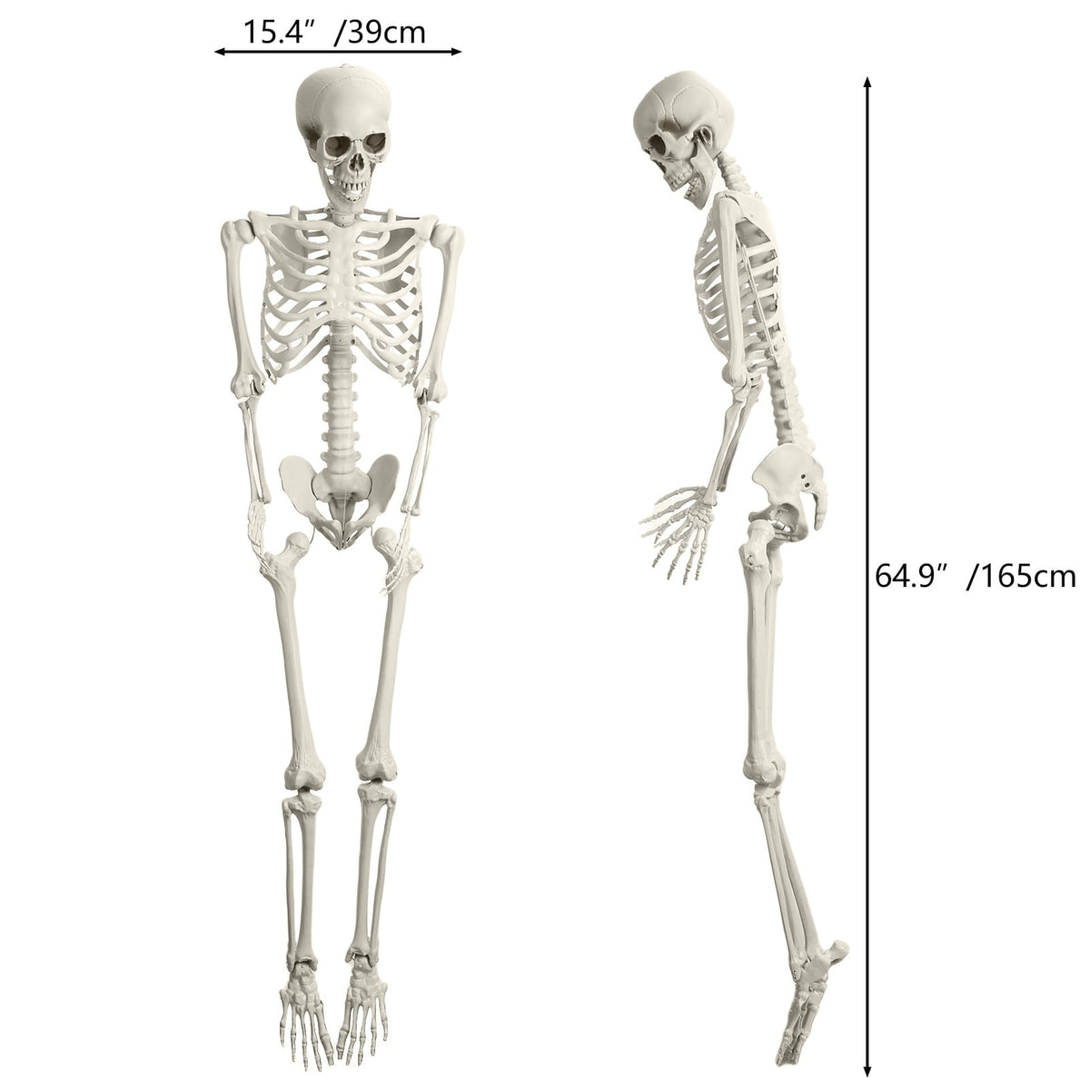Kitem Skeleton Prop 5.4ft Poseable Life Size Halloween Decoration Plastic Full Body Human Bones Skeleton Party Supplies 1pc