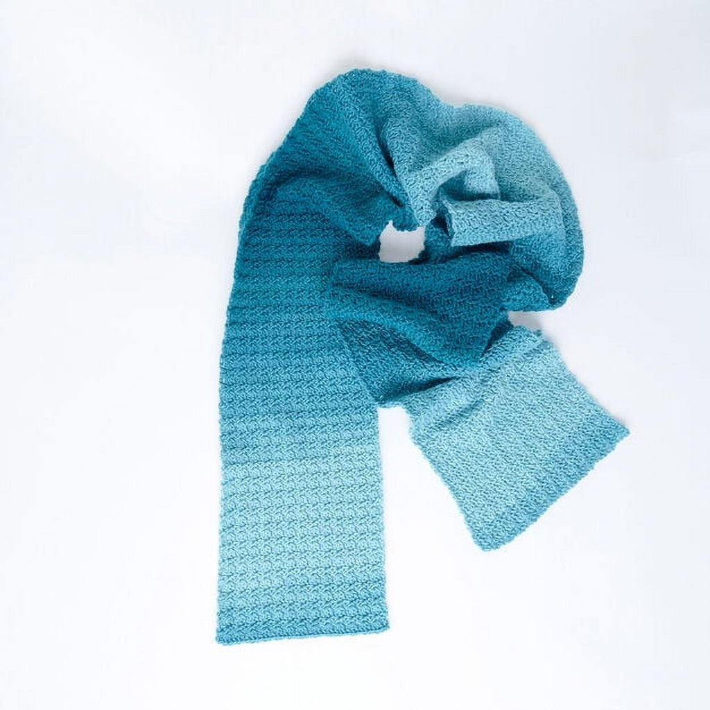 Red Heart Super Saver Ombre Yarn-Deep Teal