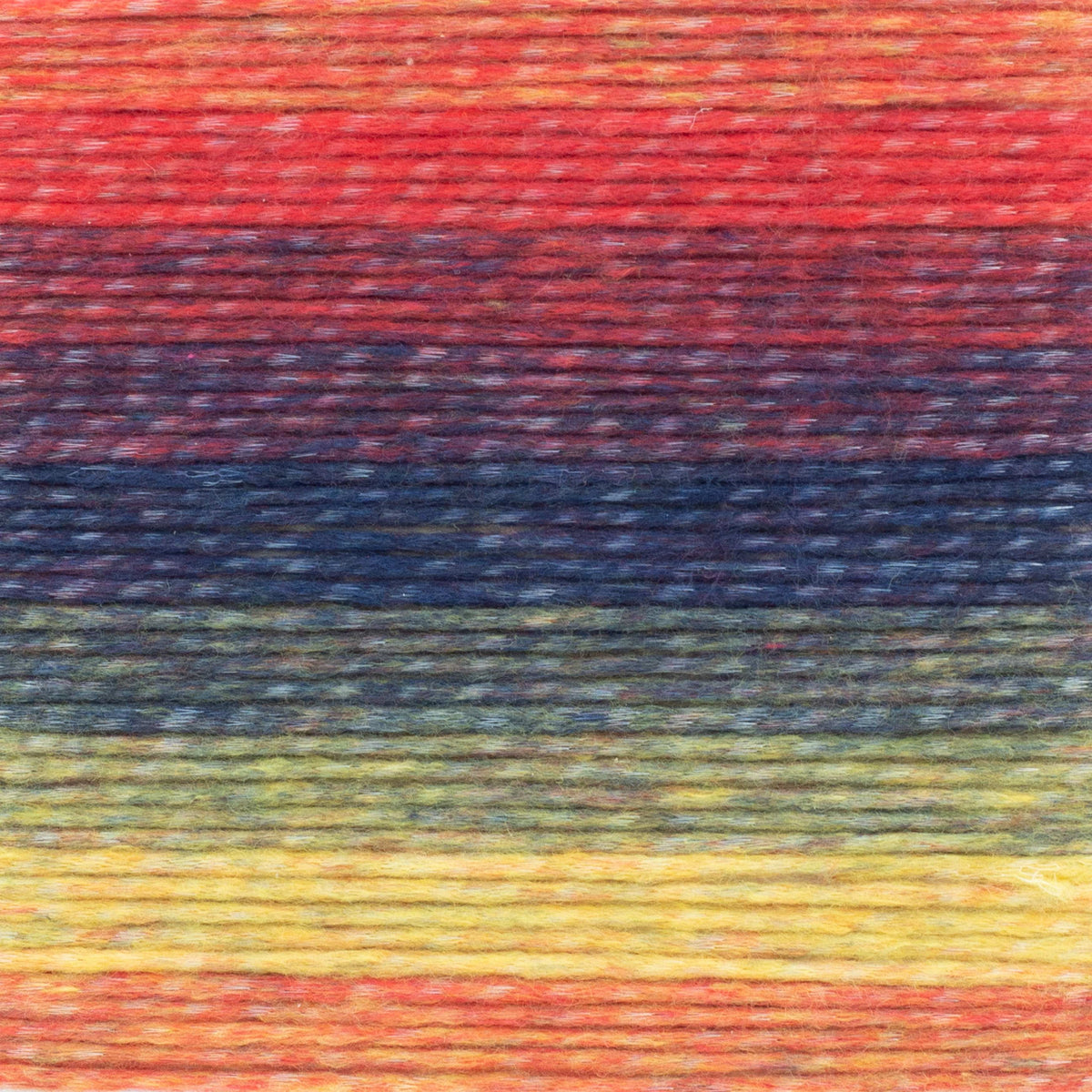 Lion Brand Landscapes Renewed Fiesta 542-213T Soft Recycled Yarn