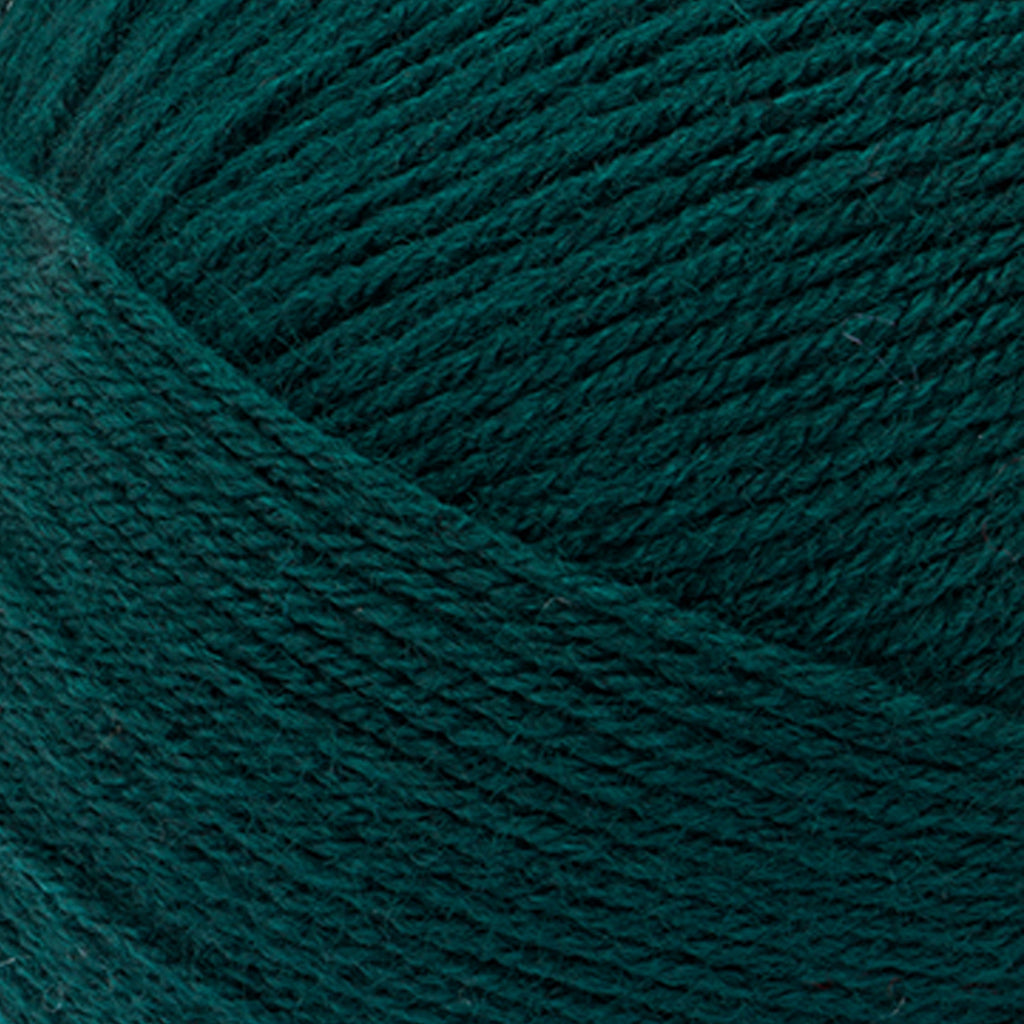 Lion Brand Yarn Pound of Love Pastel Green 4 Medium Worsted Yarn Green 16 oz 1020 yards