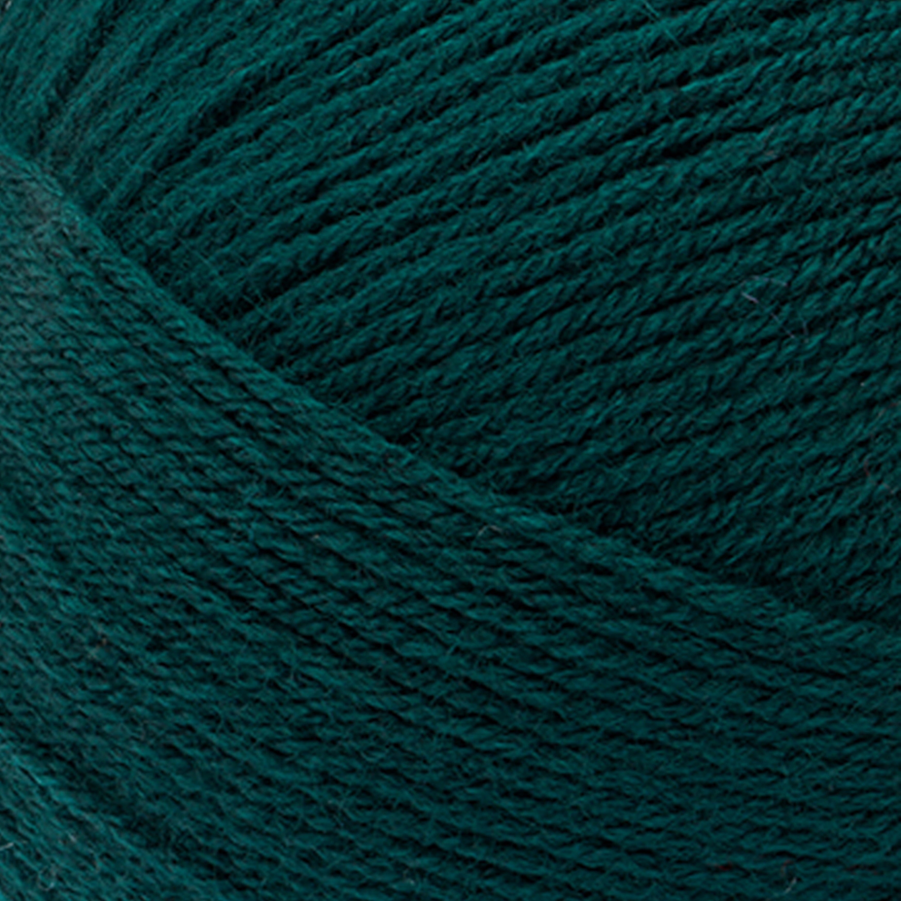 Lion Brand Yarn Pound of Love Pastel Green 4 Medium Worsted Yarn Green 16 oz 1020 yards