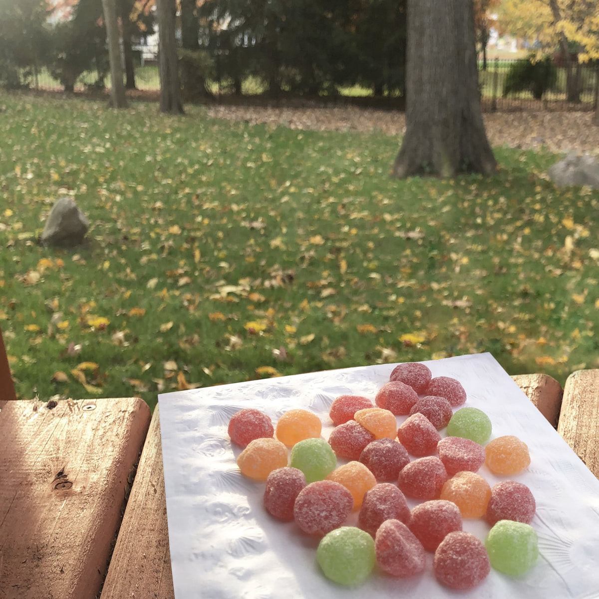 SOUR PATCH KIDS Apple Harvest Soft & Chewy Candy, 10 oz