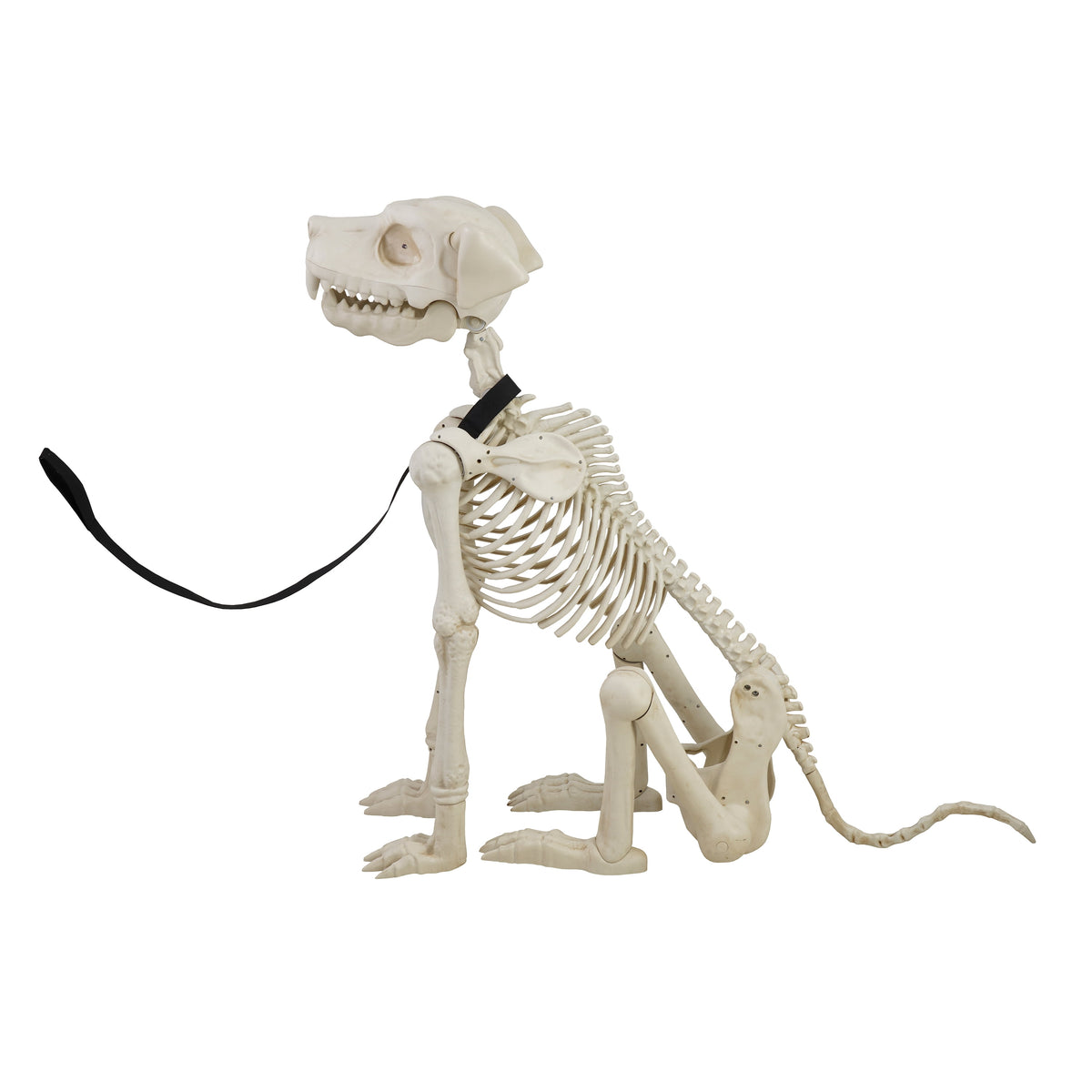 Way To Celebrate Animated Skeleton Dog Halloween Decoration, Beige, 60 in