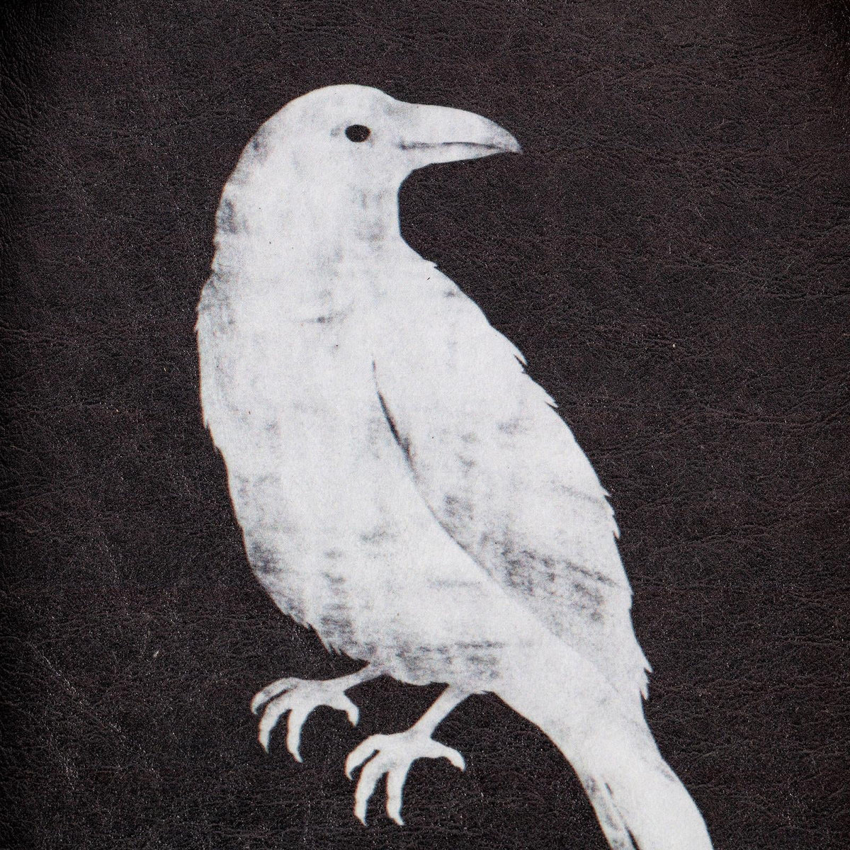 My Texas House B&W Crow Halloween Art 8x10 Antique Gold Arch MDF Framed Antique Paper