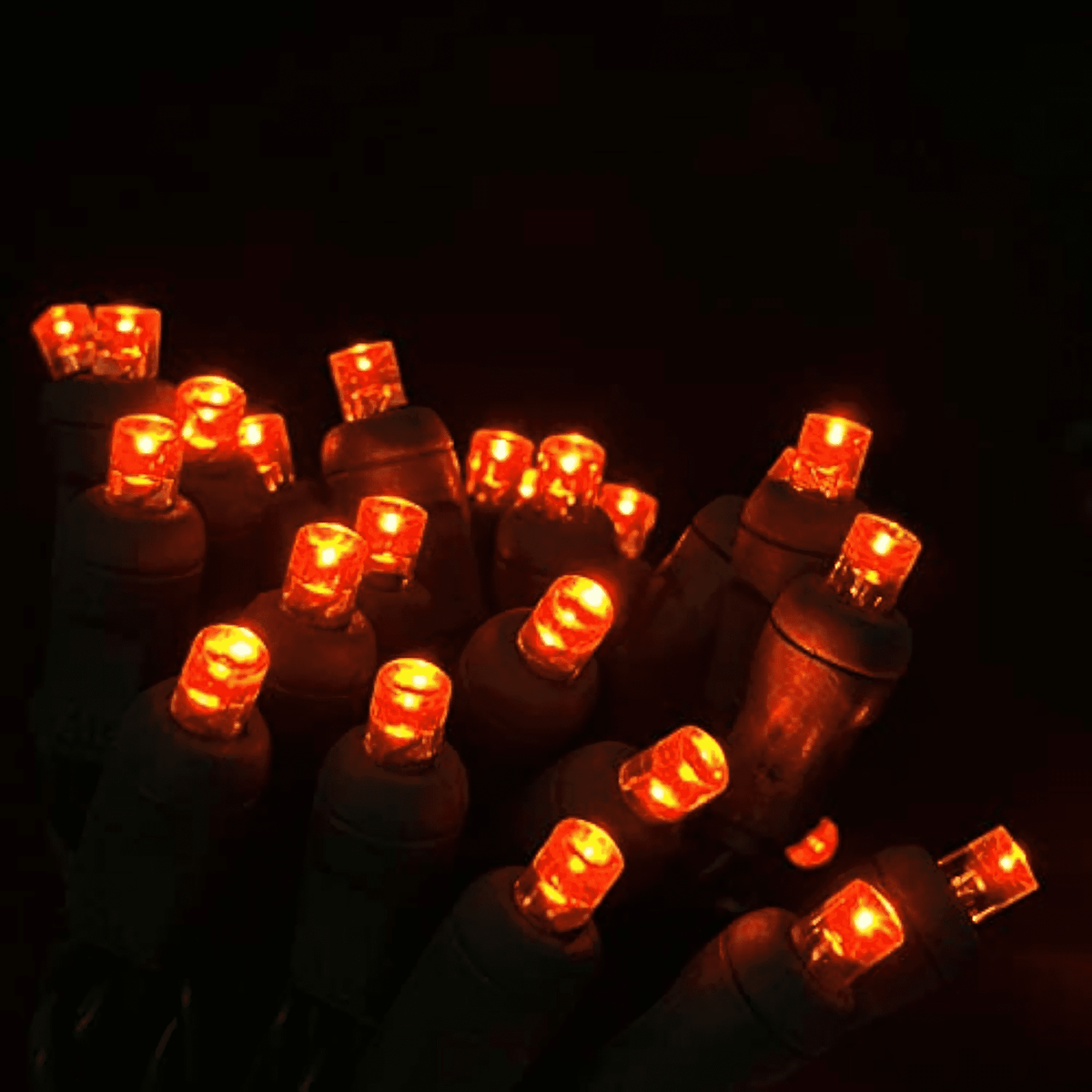 Wick's Outdoor Living LED 5MM Multi-Color Holiday Lights, 50 FT in length, 150 CT, and 6 different color options