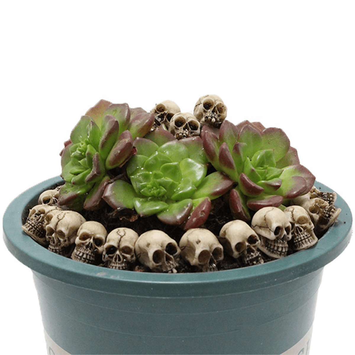 40Pcs Skulls Human Head Skull Realistic Skeleton Skulls for Halloween Table Decor