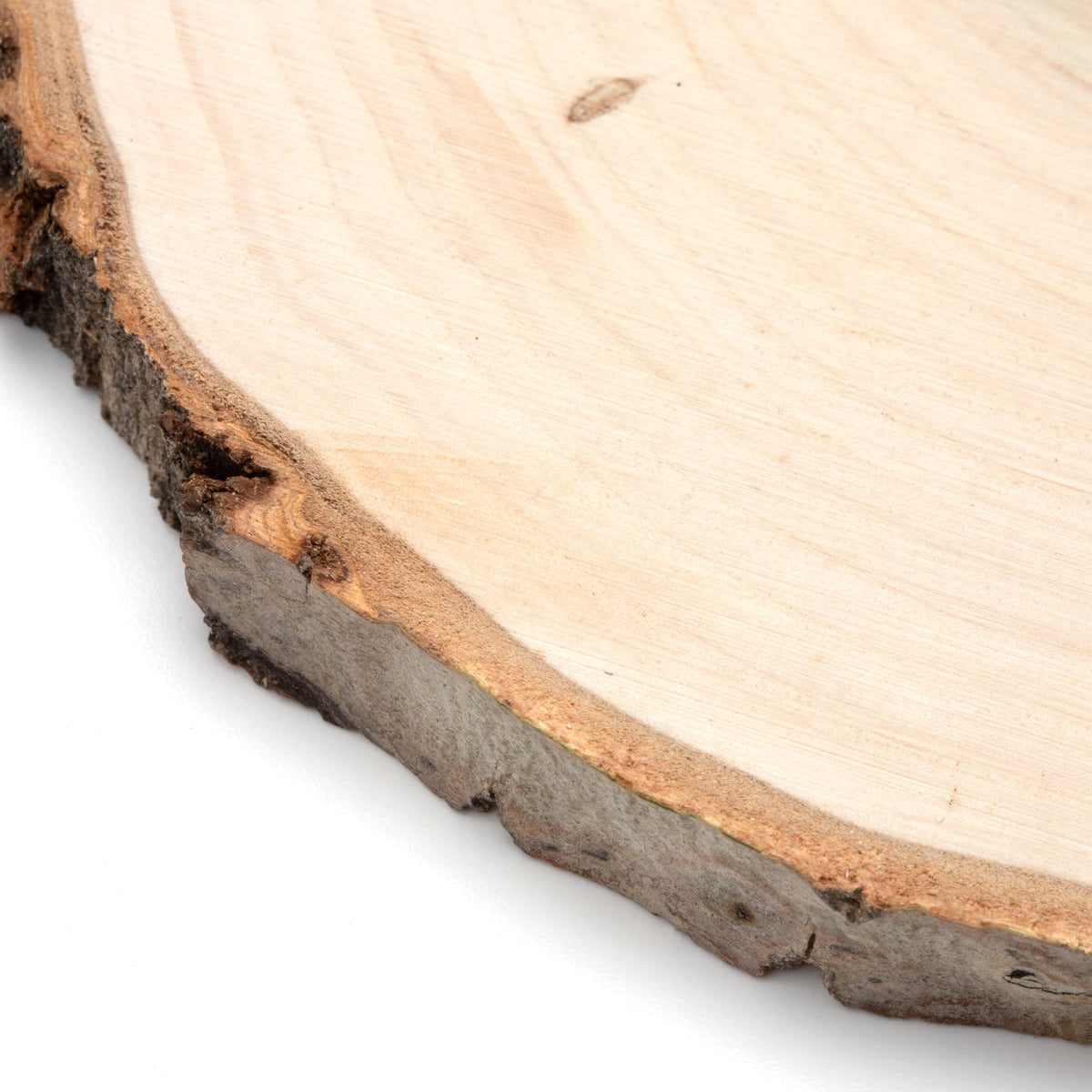 Hello Hobby Poplar 7" Round Rustic Wood Slice with Bark