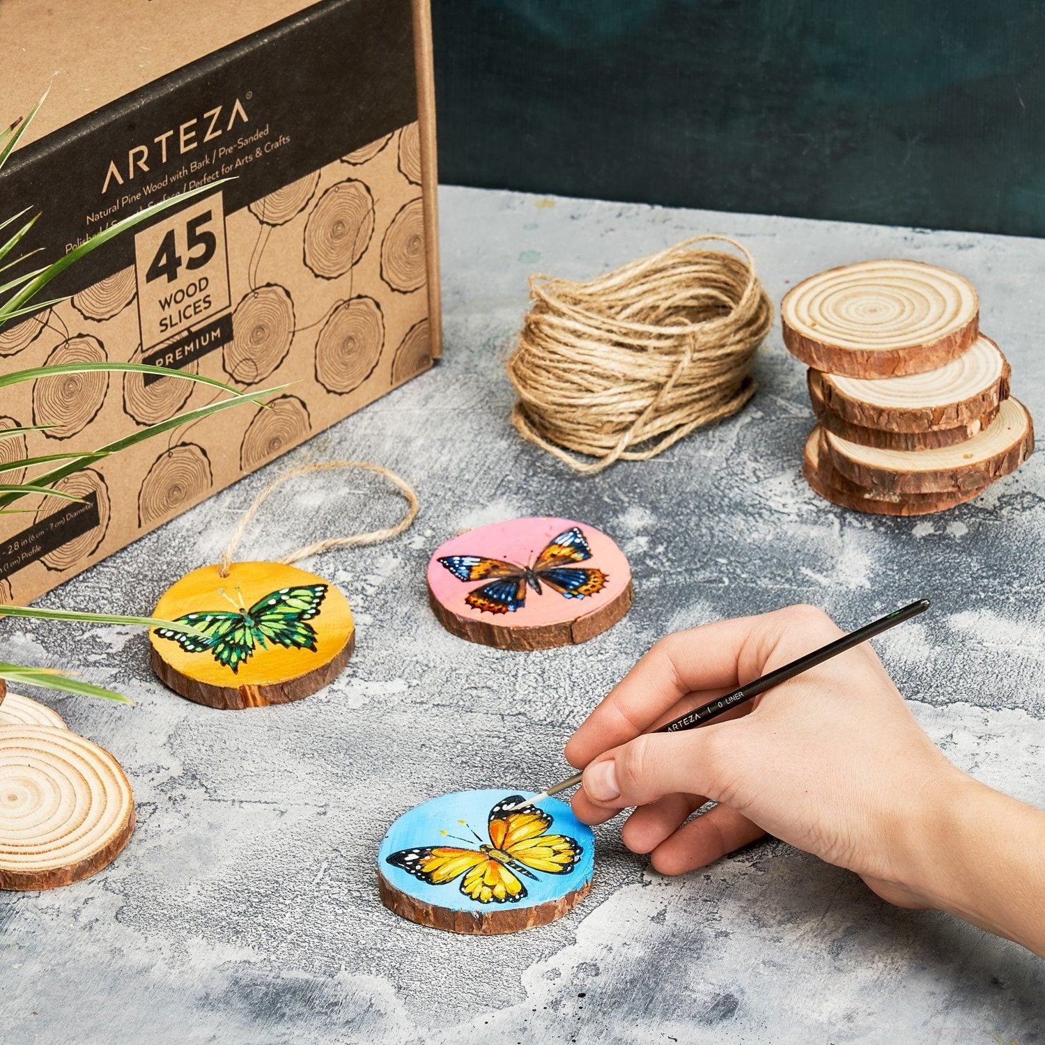 Arteza Unfinished Wood Surfaces with Bark Slices, Natural Pine Wood, Set of 45