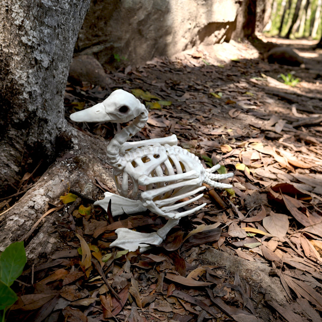 Seasons Skeleton Baby Duck Halloween Decoration for Crazy Bonez Skeleton Line