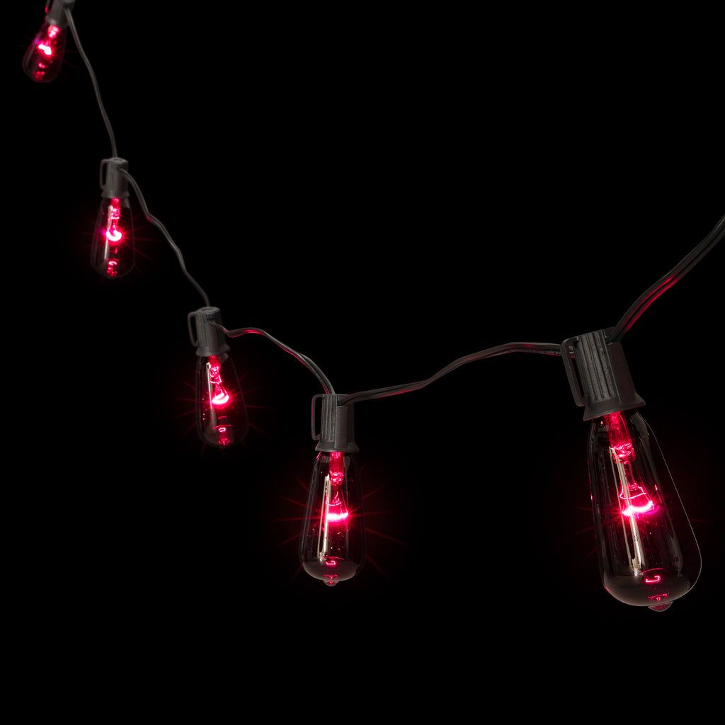 Northlight Edison Style Halloween Lights - Purple - 9' Black Wire - 10ct