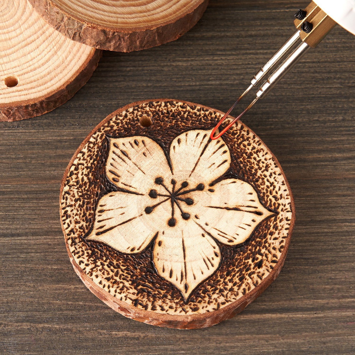 Arteza Unfinished Wood Surfaces with Bark Slices, Natural Pine Wood, Set of 45