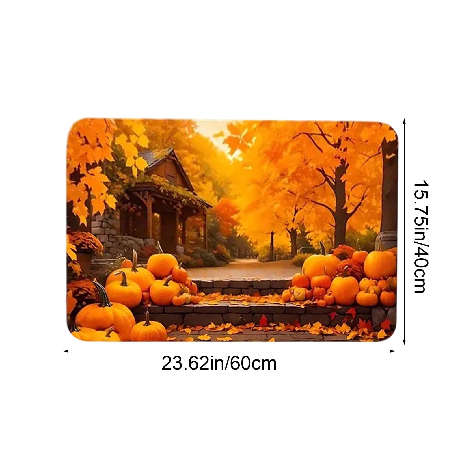 Autumn Door Mat for Entryway, 16x24 Inch, Fall-Themed Floor Doormat for Home Decor, Non-Slip Rug Mat for Living Room, Kitchen, Bedroom, Gifts for Fall Lovers (E)