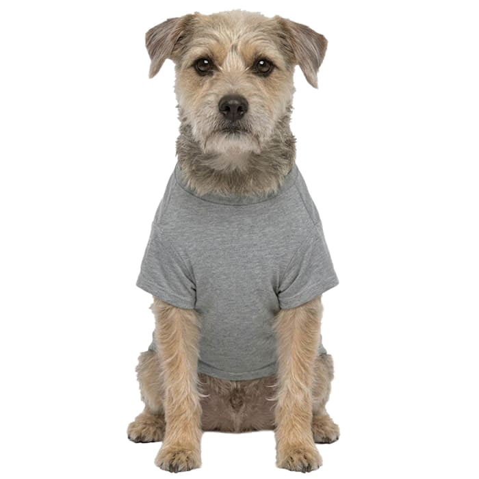 Blended Clothing Texas Chainsaw Massacre Dog Tee Heather Grey Medium