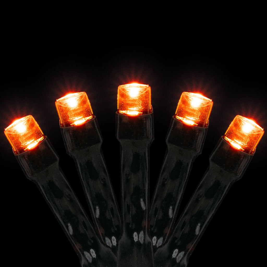 Northlight LED Wide Angle Halloween Lights - Orange - 10' Black Wire - 20ct