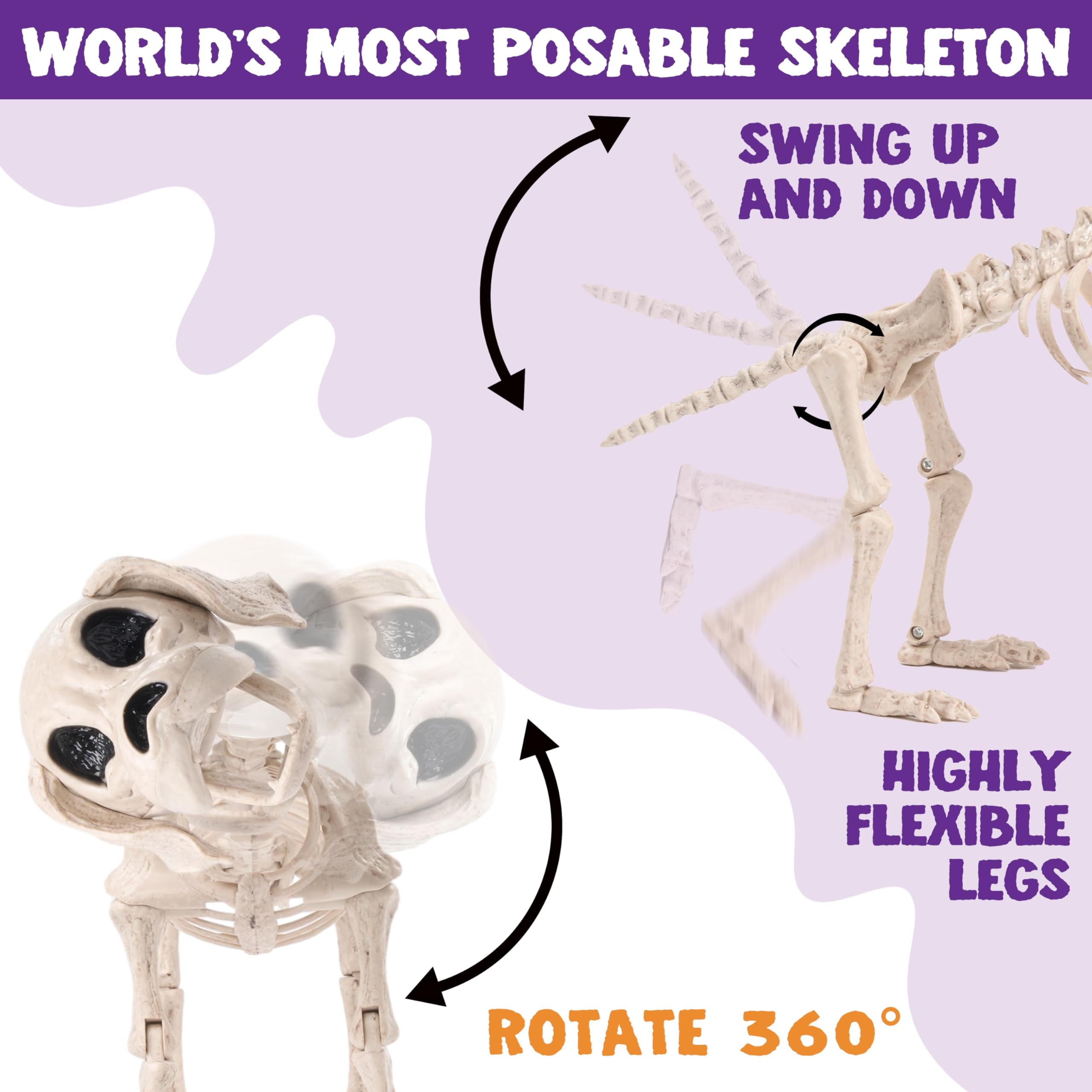 Joyfy 9.8 Inch Halloween Skeleton Dog Skeleton Halloween Decor,Pose-N-Stay Plastic Skeleton Bones with Posable Joints for Hallowmas Decoration Outdoor Haunted House Party