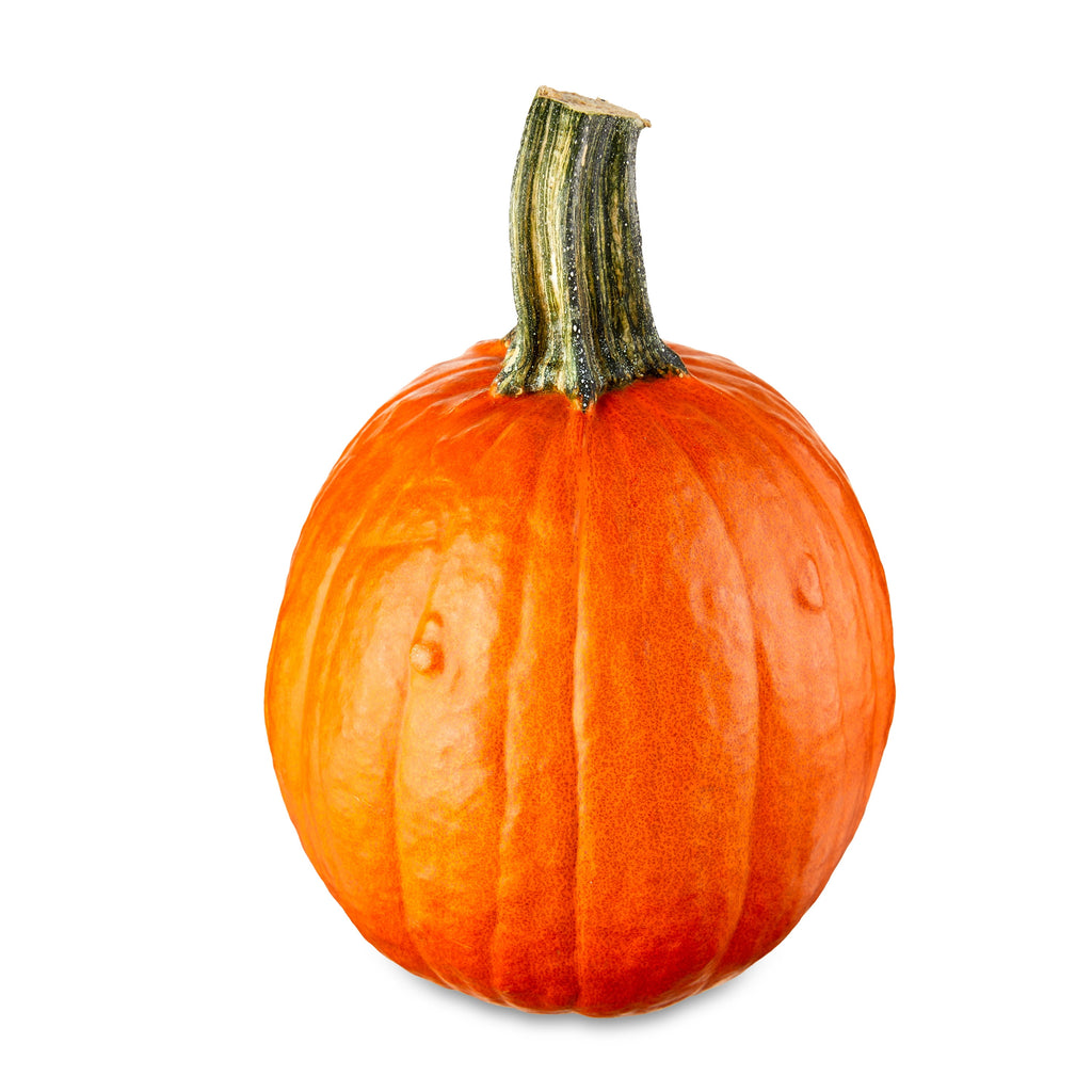 Fresh Pie Pumpkin, Each