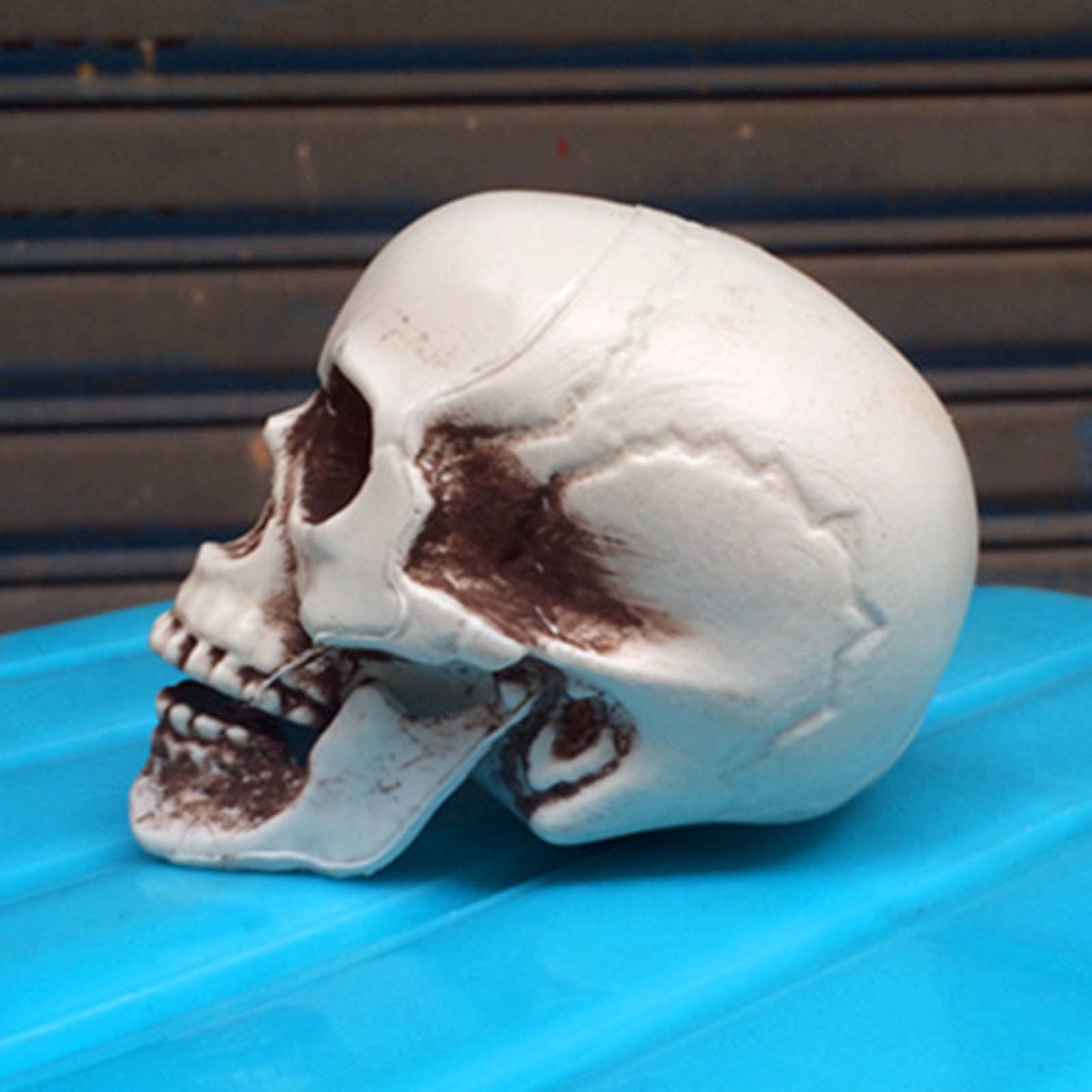 Darzheoy Halloween Skull Model Realistic Fake Simulation Human Skull Head Model Halloween Prop Realistic Mini Skeleton Spooky Halloween Decoration