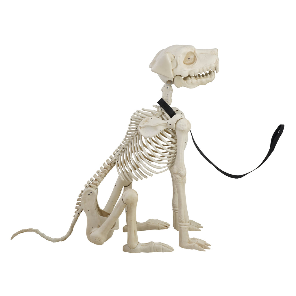 Way To Celebrate Animated Skeleton Dog Halloween Decoration, Beige, 60 in