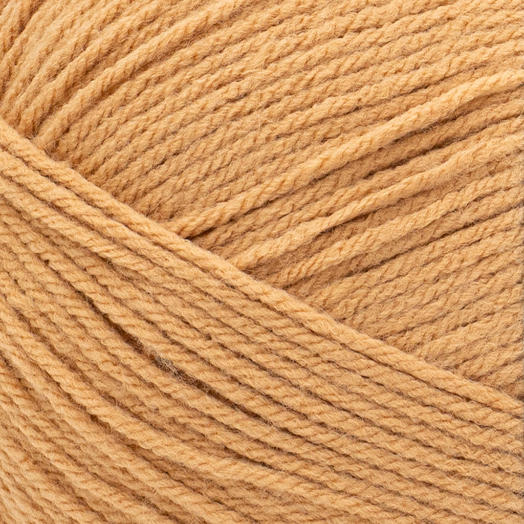 Lion Brand Yarn Pound of Love Pastel Green 4 Medium Worsted Yarn Green 16 oz 1020 yards
