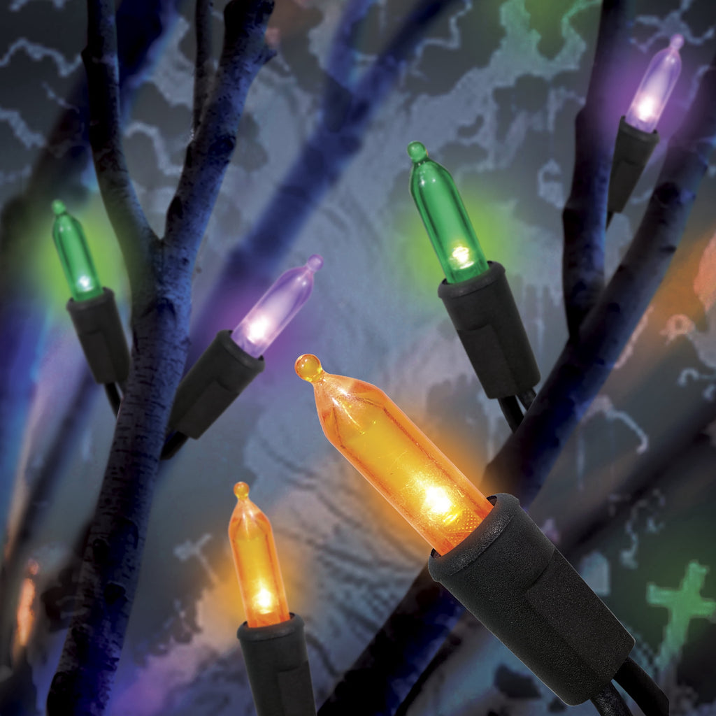 Indoor/Outdoor 200-Count LED Mini String Lights, Multicolor, 39', Halloween by Way To Celebrate
