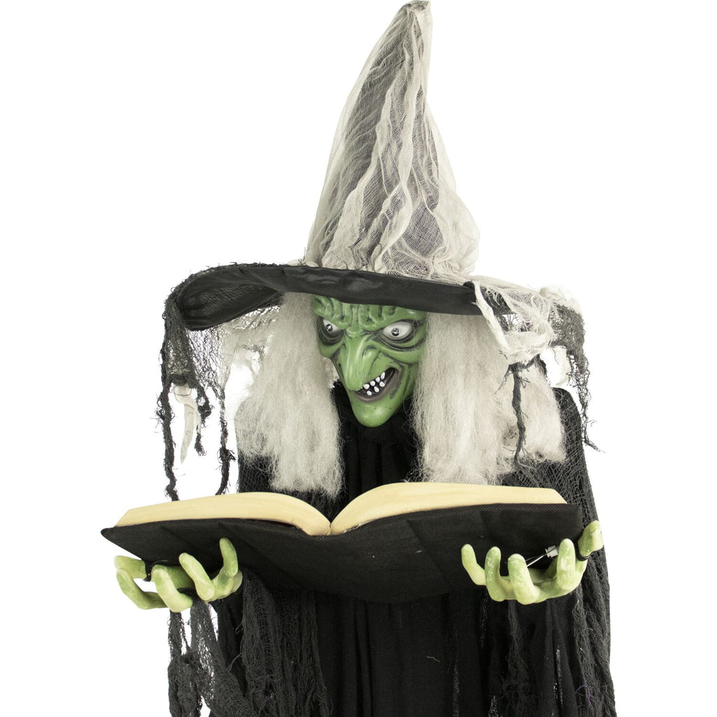 Haunted Hill Farm 5.5 ft Poseable Witch with Spell Book, Lights and Sound, Indoor/Covered Outdoor Halloween Decoration, HHWITCH-9FLS