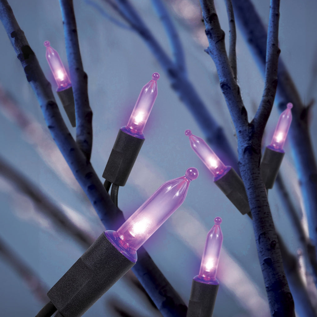 Indoor/Outdoor 200-Count LED Mini String Lights, Multicolor, 39', Halloween by Way To Celebrate
