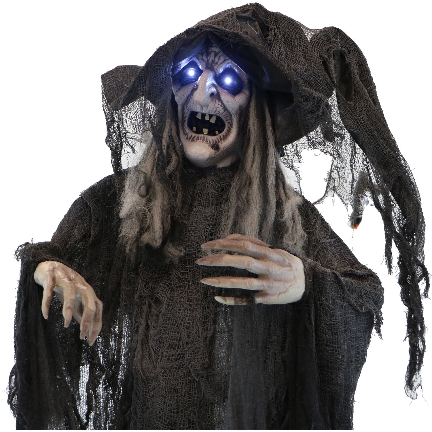 Haunted Hill Farm 5.75 ft Animatronic Witch Indoor/Covered Outdoor Halloween Decoration, HHWITCH-20FLSA