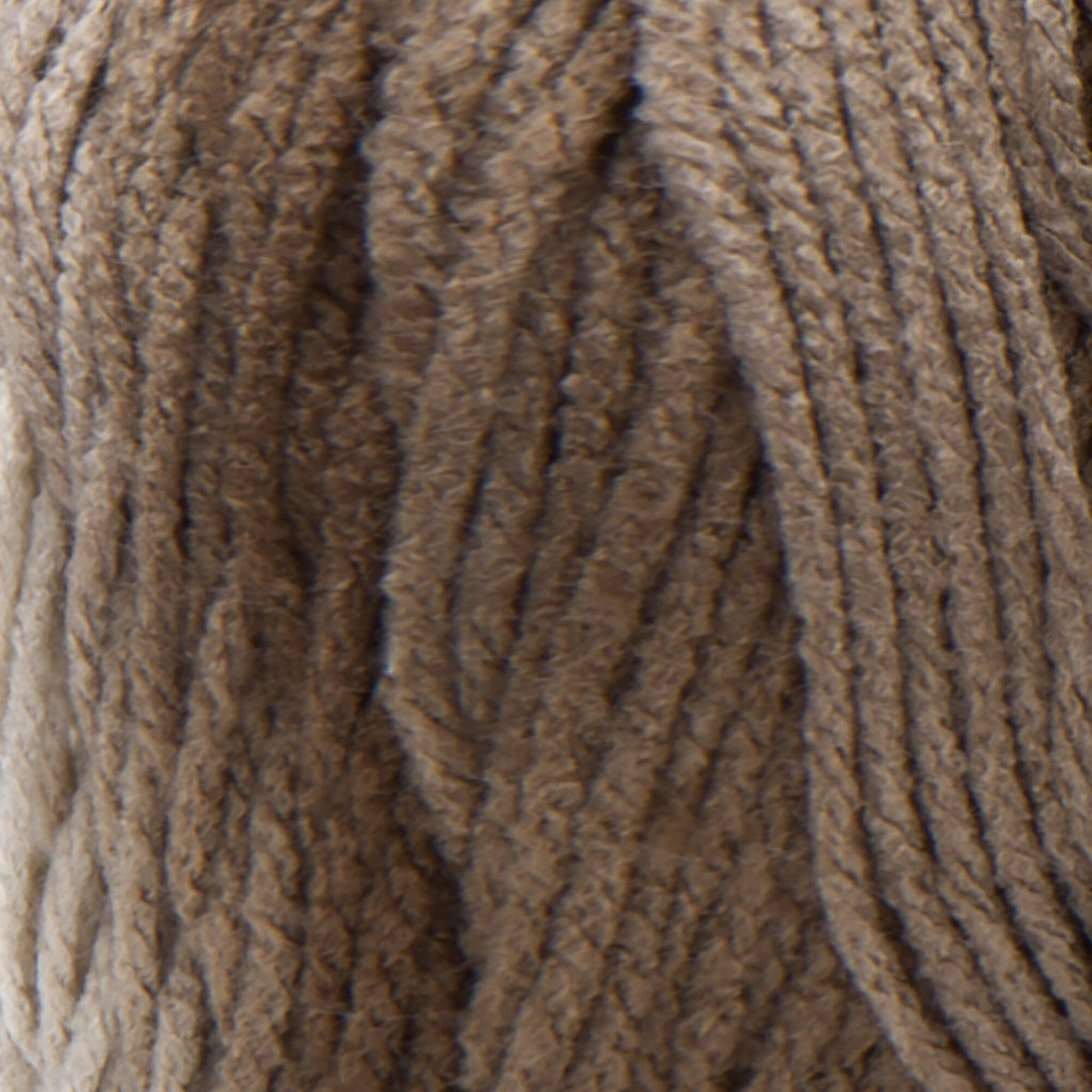Red Heart Super Saver Ombre Yarn in Cocoa Color