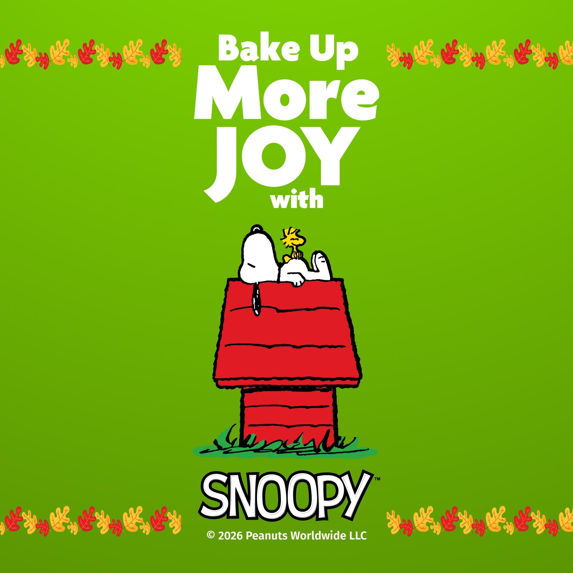 DUNCAN HINES SNOOPY CRINKLE COOKIE MIX 18.3Z