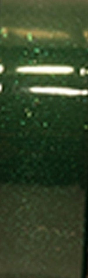 (3 pack) Offray Ribbon, Emerald Green 7/8 inch Grosgrain Glitter Polyester Ribbon for Sewing, Crafts, and Gifting, 9 feet, 1 Each
